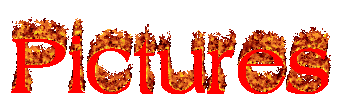 Pictures
